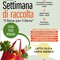 A Lozzolo la prima “Settimana di raccolta – Il Bene per il Bene” A Lozzolo la prima “Settimana di raccolta – Il Bene per il Bene”