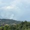 Incendio al Monte Barone, il fumo arriva fino a Casapinta Incendio al Monte Barone, il fumo arriva fino a Casapinta