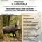 A Gattinara una serata sul cinghiale tra gestione etica, ambiente e convivenza con la fauna selvatica A Gattinara una serata sul cinghiale tra gestione etica, ambiente e convivenza con la fauna selvatica