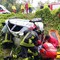 Auto si ribalta e finisce fuori strada