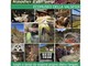 Il calendario degli eventi estivi dell’Ecomuseo della Valsesia