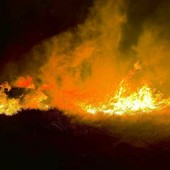 Regione Piemonte, in vigore lo stato di massima pericolosità per incendi boschivi: ecco tutti i divieti da rispettare (foto di repertorio) Regione Piemonte, in vigore lo stato di massima pericolosità per incendi boschivi: ecco tutti i divieti da rispettare (foto di repertorio)