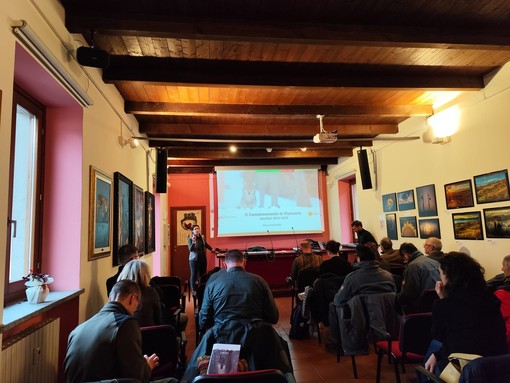 Monitoraggio del lupo, workshop a Gattinara: prosegue il lavoro regionale dopo il progetto WolfAlps EU