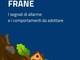 Frane, dalla Protezione Civile le indicazioni sui segnali di allarme e sui comportamenti corretti
