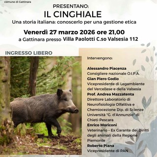 A Gattinara una serata sul cinghiale tra gestione etica, ambiente e convivenza con la fauna selvatica A Gattinara una serata sul cinghiale tra gestione etica, ambiente e convivenza con la fauna selvatica