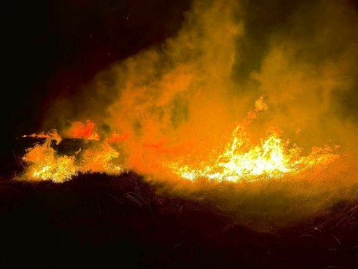 Regione Piemonte, in vigore lo stato di massima pericolosità per incendi boschivi: ecco tutti i divieti da rispettare (foto di repertorio) Regione Piemonte, in vigore lo stato di massima pericolosità per incendi boschivi: ecco tutti i divieti da rispettare (foto di repertorio)