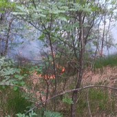 Spento in serata l’incendio boschivo tra i comuni di Curino e Sostegno Spento in serata l’incendio boschivo tra i comuni di Curino e Sostegno