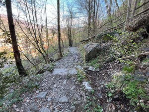 A Quarona interventi di sistemazione ambientale dell’Aib: rimossi alberi in più punti del territorio