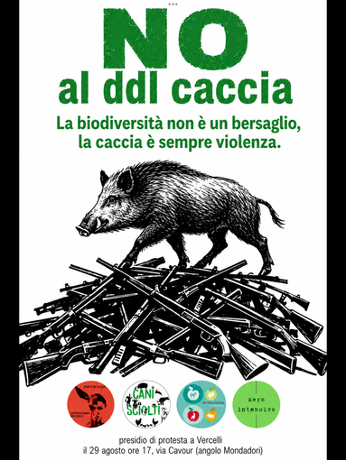 c.s. Silvia Molè - progetto  Parte in Causa