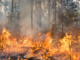 Incendi Boschivi, la Regione approva i piani di prevenzione territoriale