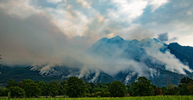 Incendi, l'appello dei forestali: "Serve una gestione attiva dei boschi" Incendi, l'appello dei forestali: "Serve una gestione attiva dei boschi"
