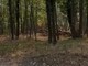 Gattinara, principio d’incendio vicino all’ex Coop: decisiva la chiamata di un volontario Gattinara, principio d’incendio vicino all’ex Coop: decisiva la chiamata di un volontario