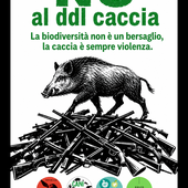 c.s. Silvia Molè - progetto  Parte in Causa