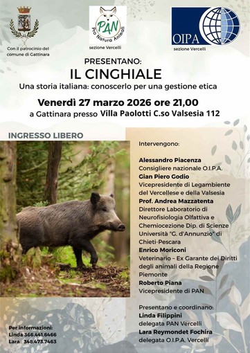 A Gattinara una serata sul cinghiale tra gestione etica, ambiente e convivenza con la fauna selvatica