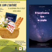 Picnic nel Bosco di Plello: un pomeriggio immersi nella lettura con Elena Darico