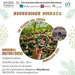 Grignasco, escursione guidata alla scoperta delle tracce del bosco