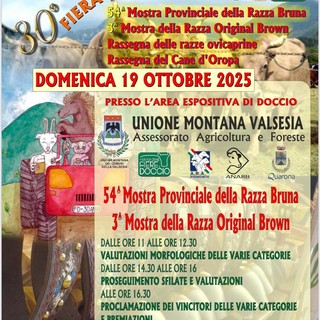 Agnona–Doccio festeggia i 30 anni della Fiera: un grande evento tra tradizione, allevamento e giovani agricoltori