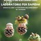Campertogno, il 29 agosto laboratorio gratuito per bambini ispirato a “La Dama Bianca del Corno Bianco”