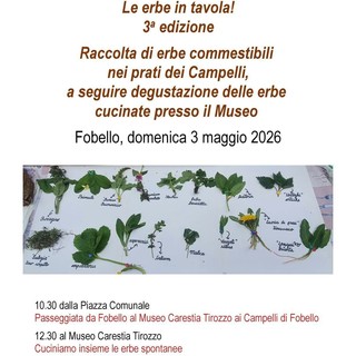 A Fobello tornano “Le erbe in tavola”: il 3 maggio giornata tra raccolta, cucina e visita al Museo Carestia Tirozzo