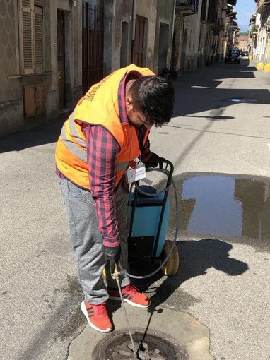 Gattinara, ripartita la campagna 2026 di lotta alle zanzare