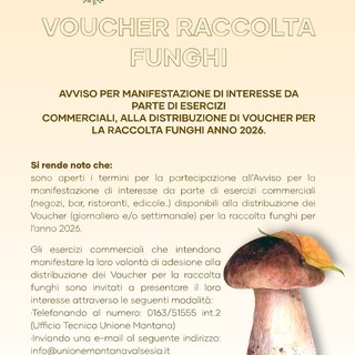 Voucher funghi 2026, l’Unione Montana dei Comuni della Valsesia cerca esercizi disponibili alla distribuzione