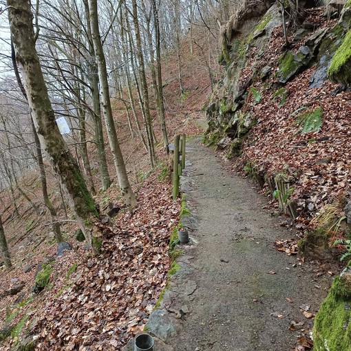 Manutenzione dei sentieri: interventi tra Torno e Roy di Fobello in Val Mastallone