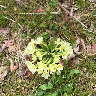 Gattinara, volontari in azione contro l’abbandono dei rifiuti: pulizie in più zone e appello per la Giornata ecologica del 28 marzo