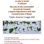 A Fobello tornano “Le erbe in tavola”: il 3 maggio giornata tra raccolta, cucina e visita al Museo Carestia Tirozzo