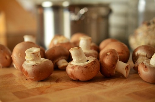 Tutto pronto a Mosso di Valdilana per la Sagra dei Funghi (foto di repertorio)