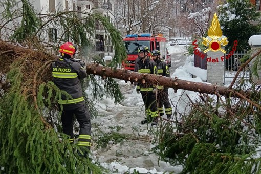 Maltempo in Valsesia, proseguono gli interventi dei Vigili del Fuoco: operazioni tra Cellio con Breia, Scopello, Varallo e Roasio Maltempo in Valsesia, proseguono gli interventi dei Vigili del Fuoco: operazioni tra Cellio con Breia, Scopello, Varallo e Roasio