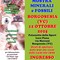 A Borgosesia la Mostra di minerali e fossili: appuntamento con la 25ª edizione A Borgosesia la Mostra di minerali e fossili: appuntamento con la 25ª edizione