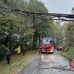 Maltempo, a Borgosesia alberi sulle strade e un’abitazione allagata Maltempo, a Borgosesia alberi sulle strade e un’abitazione allagata