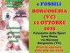 A Borgosesia la Mostra di minerali e fossili: appuntamento con la 25ª edizione A Borgosesia la Mostra di minerali e fossili: appuntamento con la 25ª edizione