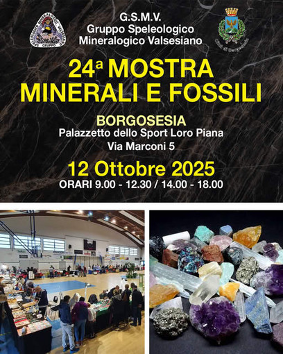 Borgosesia, torna la 24ª Mostra di Minerali e Fossili