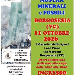 Borgosesia, l’11 ottobre la 25ª Mostra Minerali e Fossili al Palazzetto Loro Piana