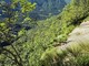 Escursionista scivola sul Monte Tovo, la caduta arrestata da un albero Escursionista scivola sul Monte Tovo, la caduta arrestata da un albero