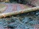 Mollia, approvato il progetto per la messa in sicurezza del territorio Mollia, approvato il progetto per la messa in sicurezza del territorio