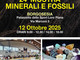 Borgosesia, torna la 24ª Mostra di Minerali e Fossili