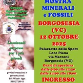 A Borgosesia la Mostra di minerali e fossili: appuntamento con la 25ª edizione