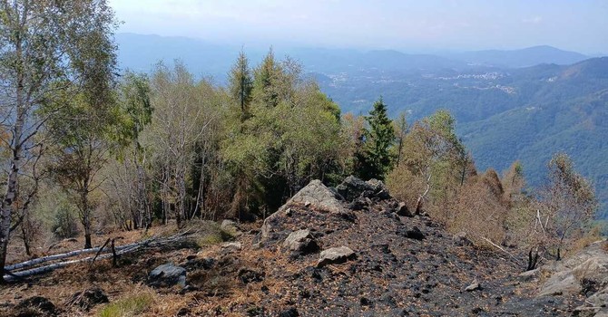 Incendio Monte Barone, dopo 18 giorni il rogo è estinto: "Una battaglia estenuante" Incendio Monte Barone, dopo 18 giorni il rogo è estinto: "Una battaglia estenuante"