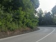pochi giorni dopo il taglio raso del bordo strada.