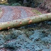Mollia, approvato il progetto per la messa in sicurezza del territorio Mollia, approvato il progetto per la messa in sicurezza del territorio