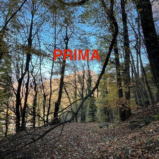 La squadra Aib di Quarona ripulisce la mulattiera di Valmaggiore: un esempio di impegno per il territorio La squadra Aib di Quarona ripulisce la mulattiera di Valmaggiore: un esempio di impegno per il territorio