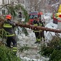 Maltempo in Valsesia, proseguono gli interventi dei Vigili del Fuoco: operazioni tra Cellio con Breia, Scopello, Varallo e Roasio