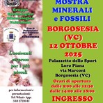 A Borgosesia la Mostra di minerali e fossili: appuntamento con la 25ª edizione