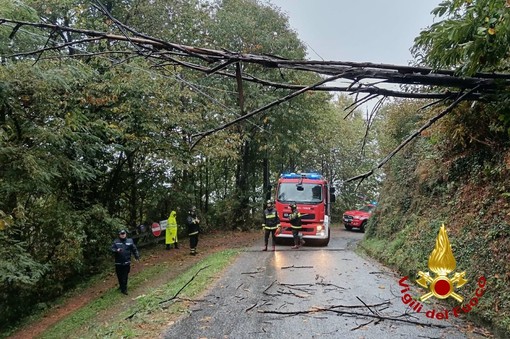 Maltempo, a Borgosesia alberi sulle strade e un’abitazione allagata Maltempo, a Borgosesia alberi sulle strade e un’abitazione allagata