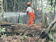 Incendio Monte Barone, dopo 18 giorni il rogo è estinto: "Una battaglia estenuante" Incendio Monte Barone, dopo 18 giorni il rogo è estinto: "Una battaglia estenuante"