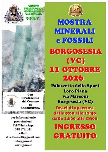 Borgosesia, l’11 ottobre la 25ª Mostra Minerali e Fossili al Palazzetto Loro Piana Borgosesia, l’11 ottobre la 25ª Mostra Minerali e Fossili al Palazzetto Loro Piana