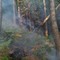 Incendio Monte Barone, Coggiola: "Non avvicinatevi per curiosità". Controlli e sanzioni Incendio Monte Barone, Coggiola: "Non avvicinatevi per curiosità". Controlli e sanzioni
