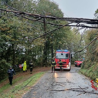Maltempo, a Borgosesia alberi sulle strade e un’abitazione allagata